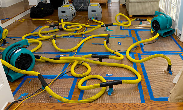 Professional Crawl Space Water Removal technician working in Lincoln, IL